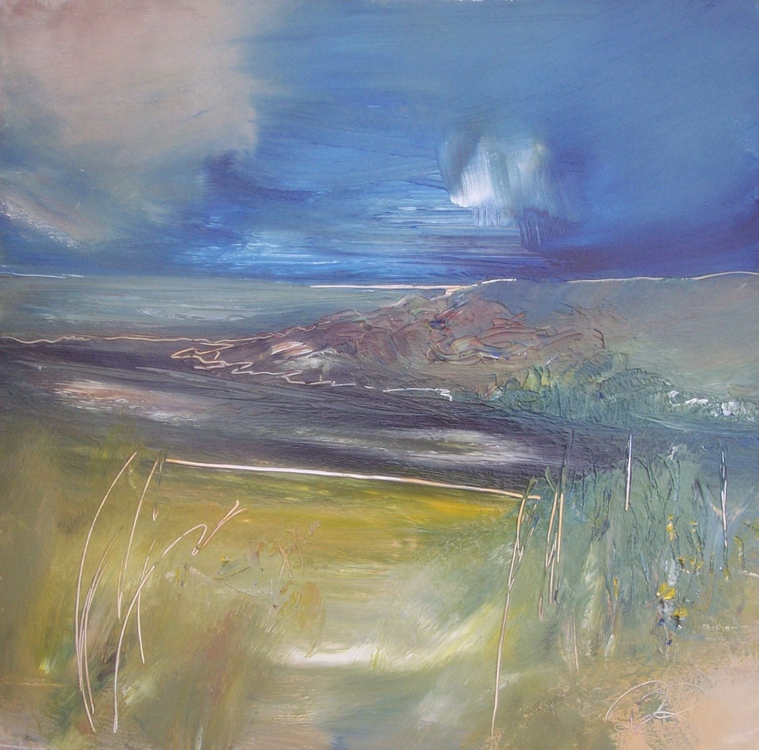 'After a drench' by artist Rosanne Barr